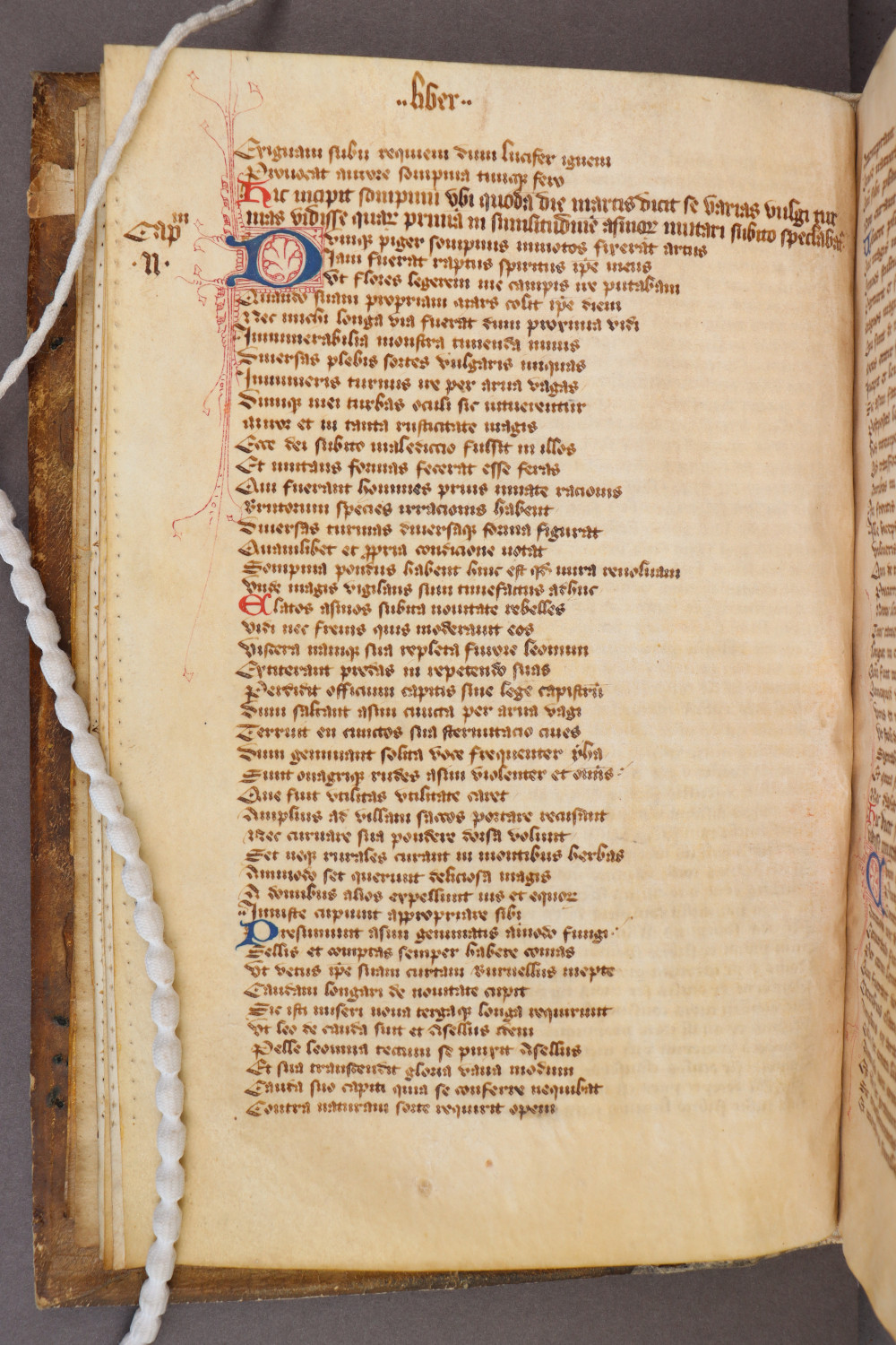 Folio 7 verso
